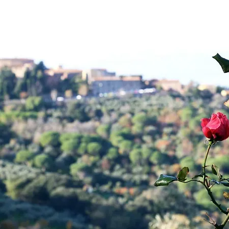 Bellavista La Pergola شقة كاستاجنيتو كاردوتشي