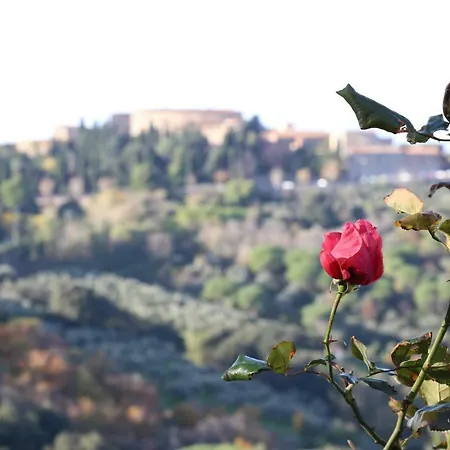 Bellavista La Pergola شقة