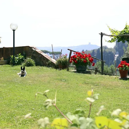 Bellavista La Pergola Apartment Castagneto Carducci