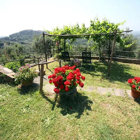 Bellavista La Pergola Apartment Castagneto Carducci